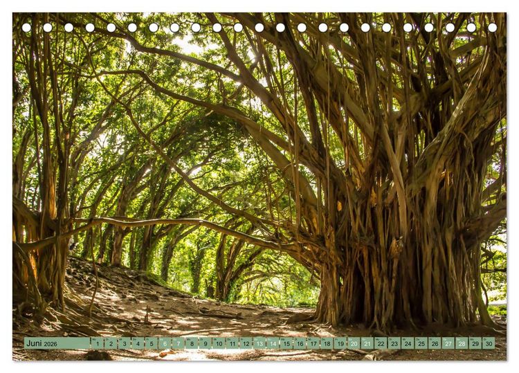 Produktbild: Big Island - Reise in eine unvergessliche Welt (Tischkalender 2026 DIN A5 quer), CALVENDO Monatskalender