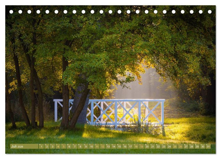 Produktbild: Herbst im Dieskauer Park (Tischkalender 2026 DIN A5 quer), CALVENDO Monatskalender