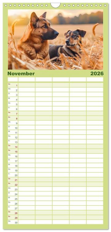 Produktbild: Familienplaner 2026 - Bauernhof-Freunde - Hunde und ihre tierischen Freundschaften mit 5 Spalten (Wandkalender, 21 x 45 cm) CALVENDO