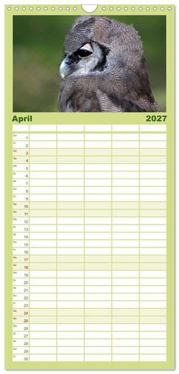 Produktbild: Familienplaner 2027 - Eulen mit 5 Spalten (Wandkalender, 21 x 45 cm) CALVENDO