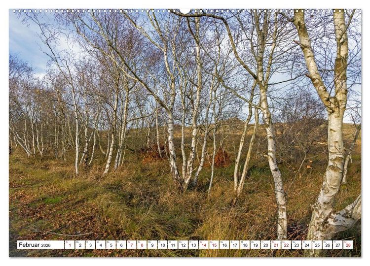 Produktbild: Wintertage auf Norderney (Wandkalender 2026 DIN A2 quer), CALVENDO Monatskalender