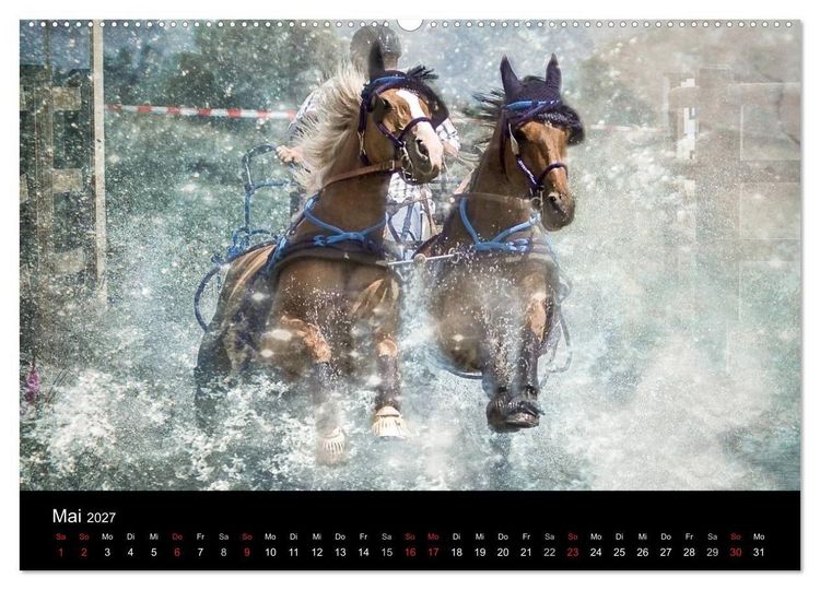 Produktbild: Pferde zum Tr&auml;umen (Wandkalender 2027 DIN A2 quer), CALVENDO Monatskalender