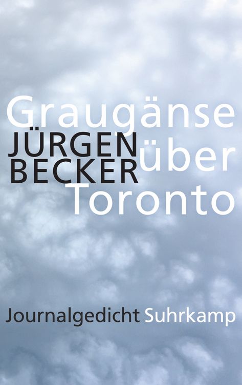 Produktbild: Graug&auml;nse &uuml;ber Toronto