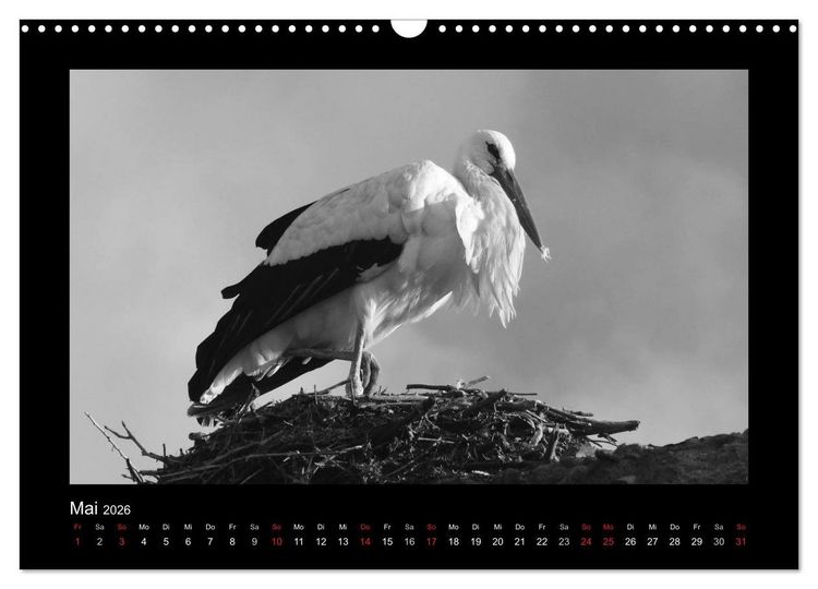 Produktbild: Marokko - Nostalgie in schwarz-weiss (Wandkalender 2026 DIN A3 quer), CALVENDO Monatskalender