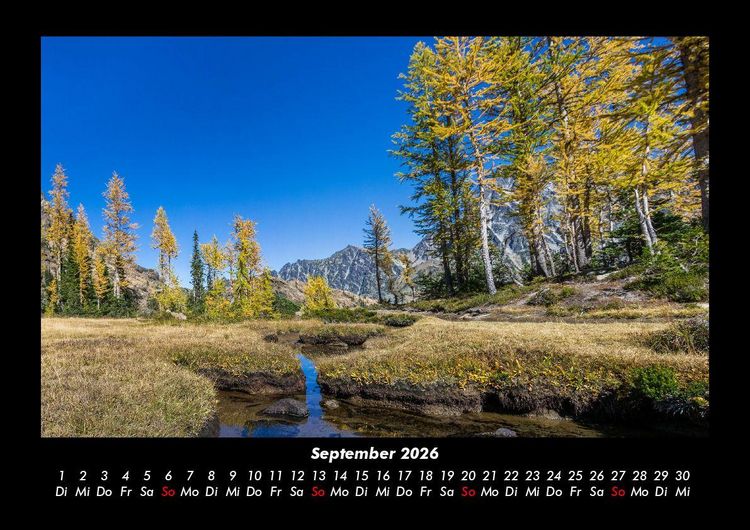 Produktbild: B&auml;ume 2026 Fotokalender DIN A3