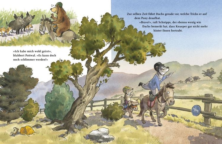Produktbild: Dr. Brumm: Dr. Brumm auf dem Ponyhof