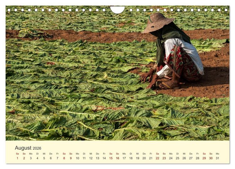 Produktbild: Leben in Myanmar (Wandkalender 2026 DIN A4 quer), CALVENDO Monatskalender