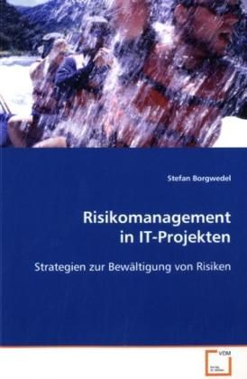 Produktbild: Borgwedel Stefan: Risikomanagement in IT-Projekten