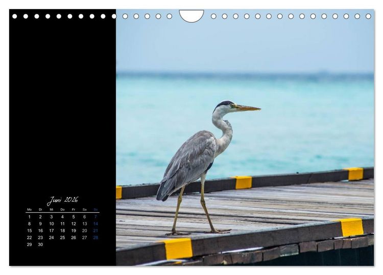 Produktbild: Malediven - dem Himmel so nah (Wandkalender 2026 DIN A4 quer), CALVENDO Monatskalender
