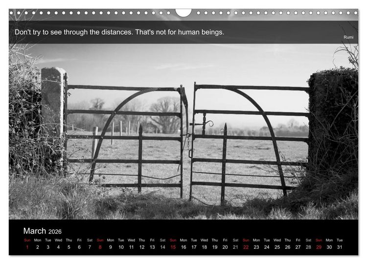 Produktbild: Through the Gate with Rumi (Wall Calendar 2026 DIN A3 landscape), CALVENDO 12 Month Wall Calendar