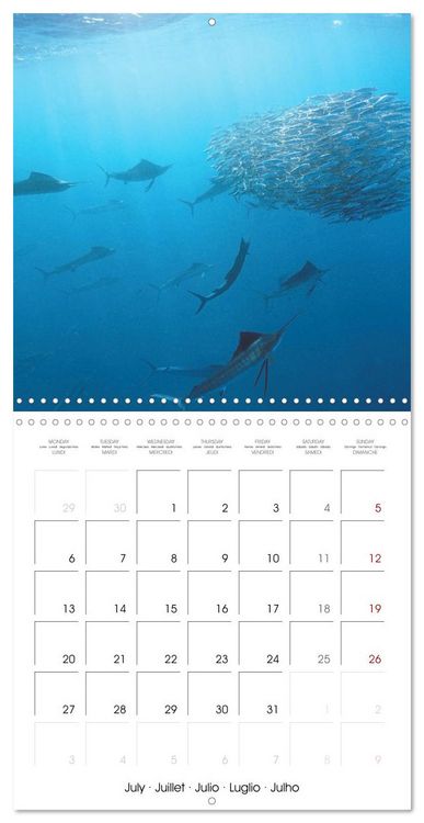 Produktbild: Diving in the deep blue sea (Wall Calendar 2026 12 &times; 12 Inch) CALVENDO 12 Month Wall Calendar