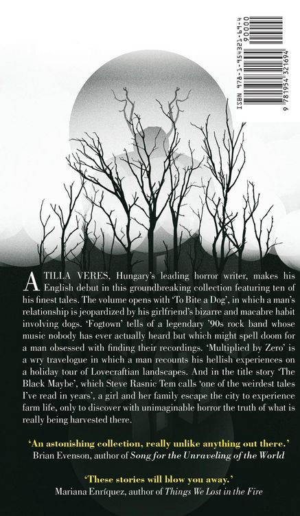 Produktbild: The Black Maybe