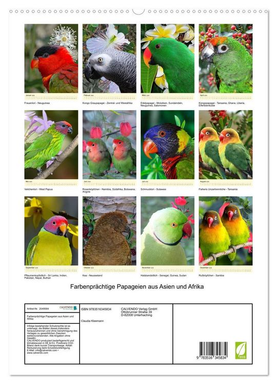 Produktbild: Farbenpr&auml;chtige Papageien aus Asien und Afrika (hochwertiger Premium Wandkalender 2026 DIN A2 hoch), Kunstdruck in Hochglanz