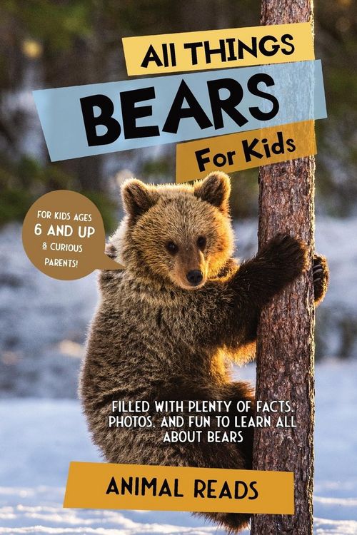Produktbild: All Things Bears For Kids