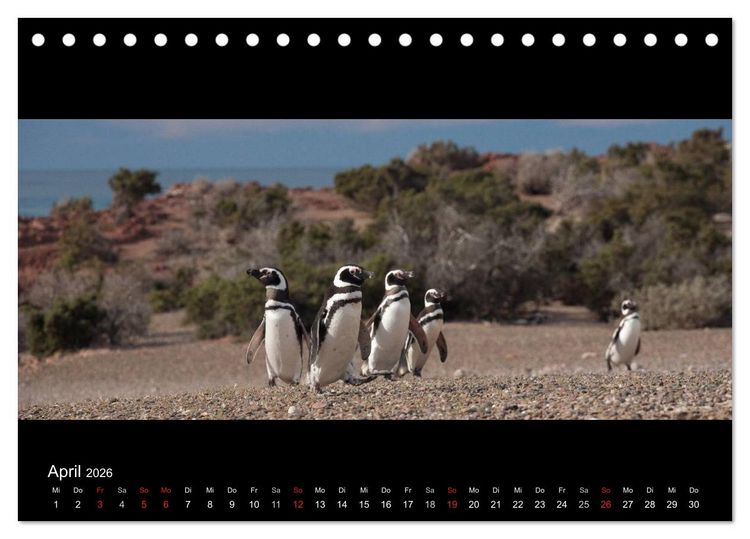 Produktbild: Patagonien - Ungez&auml;hmtes Land (Tischkalender 2026 DIN A5 quer), CALVENDO Monatskalender
