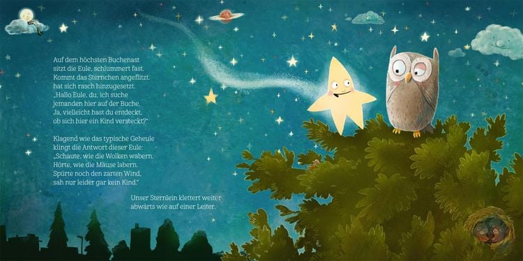 Produktbild: Wenn ein Stern auf Reise geht ...