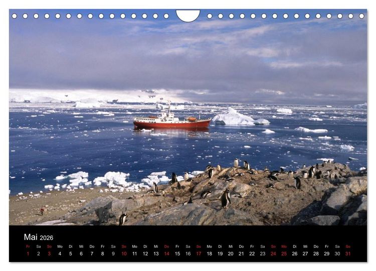 Produktbild: Arktis und Antarktis (Wandkalender 2026 DIN A4 quer), CALVENDO Monatskalender