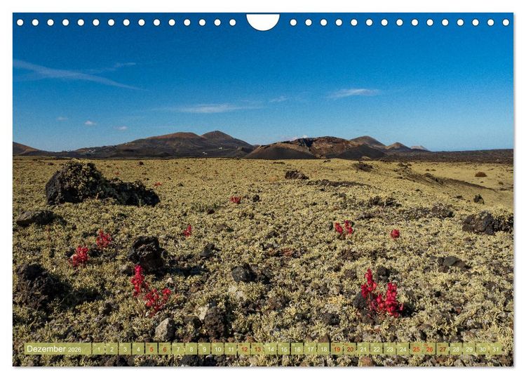 Produktbild: Magische Vulkaninseln im Atlantik (Wandkalender 2026 DIN A4 quer), CALVENDO Monatskalender