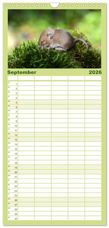 Produktbild: Familienplaner 2026 - Die lieben Kleinen ... Tierkinder einfach zum Knuddeln mit 5 Spalten (Wandkalender, 21 x 45 cm) CALVENDO