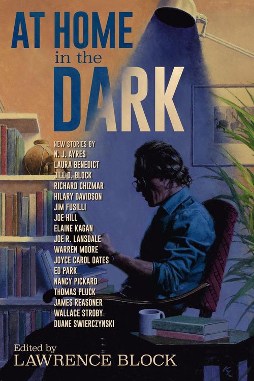 Produktbild: At Home in the Dark