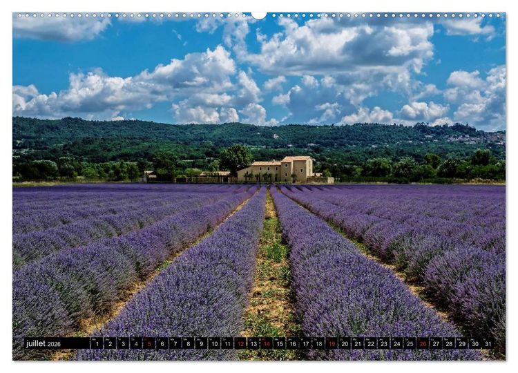 Produktbild: Un &eacute;t&eacute; en Provence dans le Luberon (Calendrier mural 2026 DIN A2 vertical) calendrier de bureau