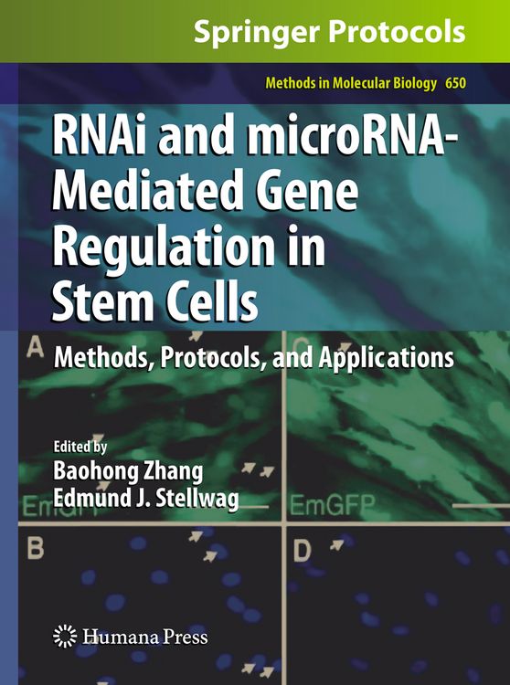 Produktbild: RNAi and microRNA-Mediated Gene Regulation in Stem Cells
