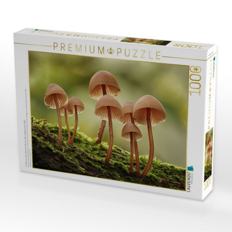Produktbild: CALVENDO Puzzle Ein Motiv aus dem Kalender Pilze, die stillen Waldbewohner 2019 | 1000 Teile Lege-Gr&ouml;&szlig;e 64x48cm Foto-Puzzle f&uuml;r gl&uuml;ckliche Stunden