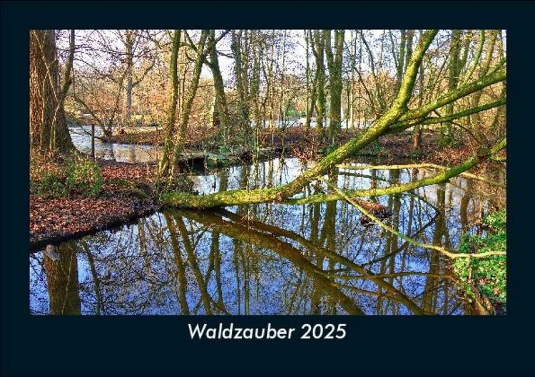 Produktbild: Waldzauber 2025 Fotokalender DIN A5