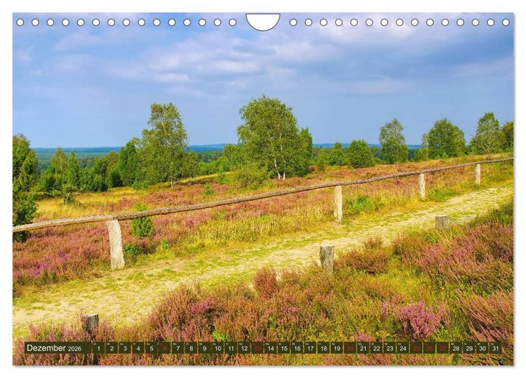 Produktbild: L&uuml;neburger Heide - Wanderung rund um Wilsede und Totengrund (Wandkalender 2026 DIN A4 quer), CALVENDO Monatskalender