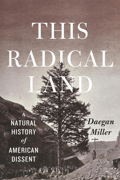 Produktbild: This Radical Land