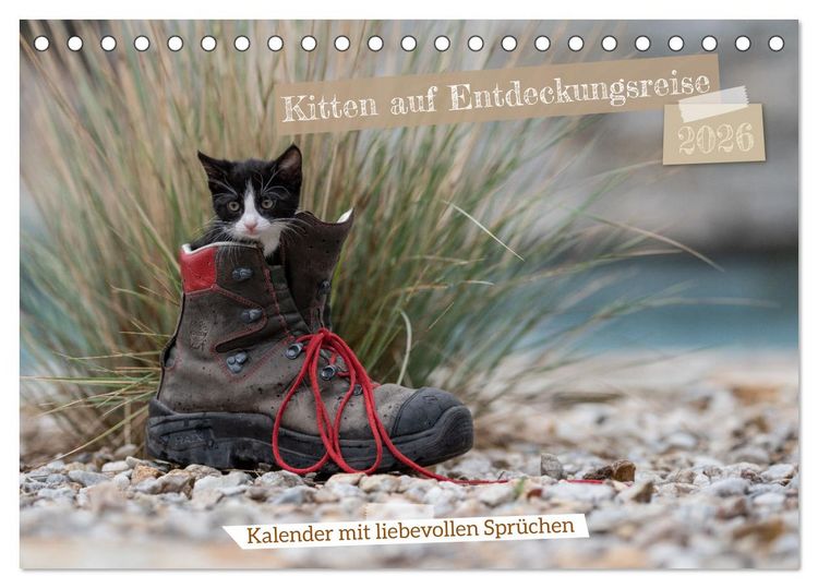 Produktbild: Kitten auf Entdeckungsreise (Tischkalender 2026 DIN A5 quer), CALVENDO Monatskalender