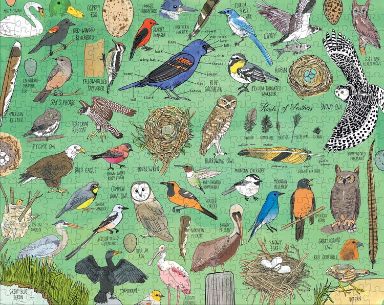 Produktbild: Nature Anatomy