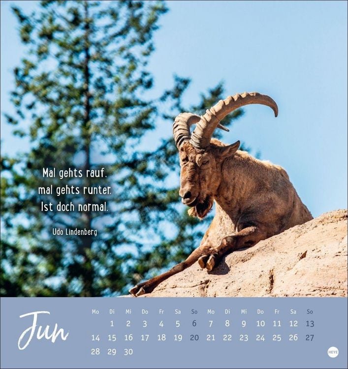 Produktbild: Never give up! Postkartenkalender 2027 - Durchhalten. Denn alles wird gut.