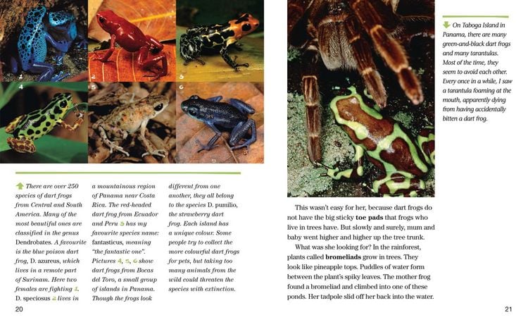Produktbild: Nat Geo Reader Frogs