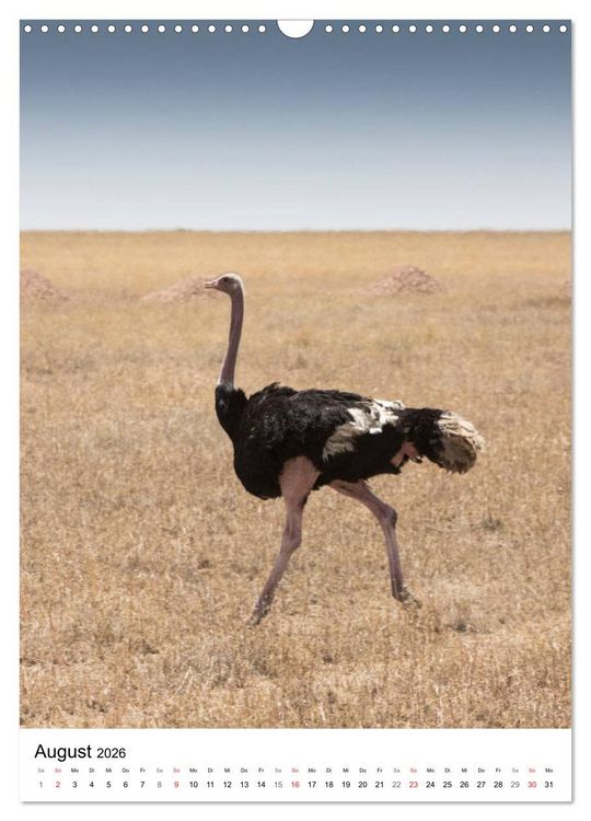 Produktbild: Serengeti Pur - Tansania (Wandkalender 2026 DIN A3 hoch), CALVENDO Monatskalender