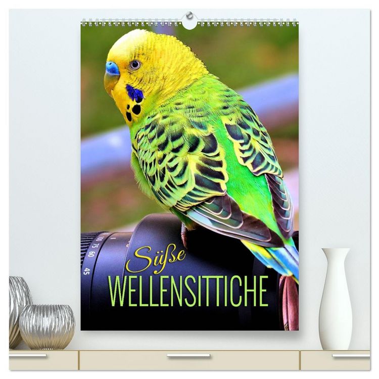 Produktbild: S&uuml;&szlig;e Wellensittiche (hochwertiger Premium Wandkalender 2026 DIN A2 hoch), Kunstdruck in Hochglanz