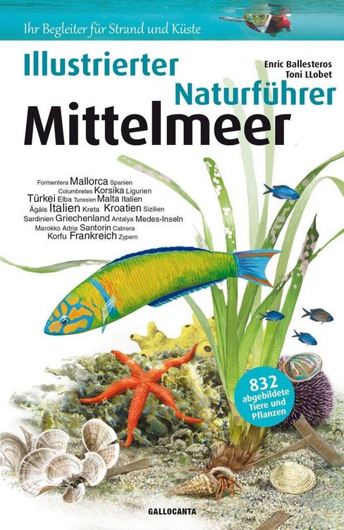 Produktbild: Illustrierter Naturf&uuml;rhrer Mittelmeer