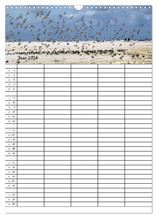 Produktbild: Urlaubsparadies Amrum / Familienplaner (Wandkalender 2026 DIN A3 hoch), CALVENDO Monatskalender