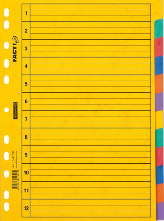 Produktbild: Brunnen Ringbuchregister A4 12tlg Pressspan