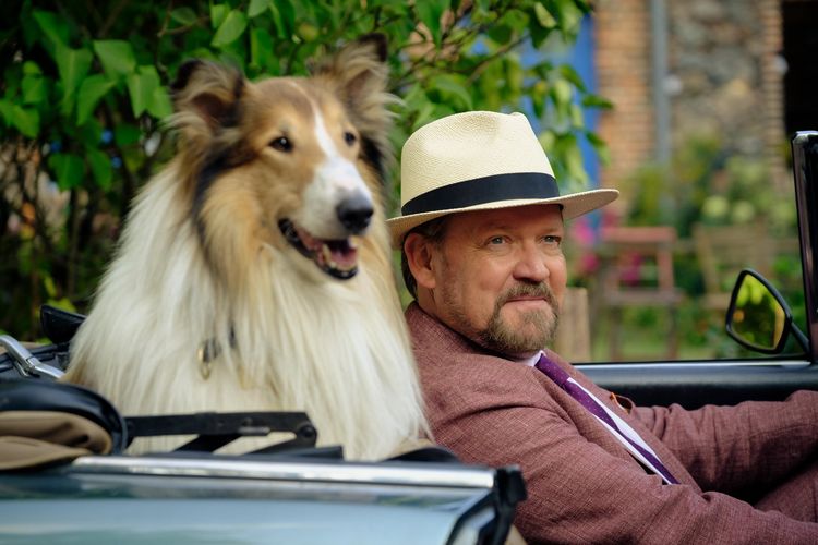 Produktbild: Lassie - Ein neues Abenteuer