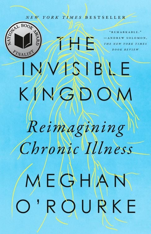 Produktbild: The Invisible Kingdom