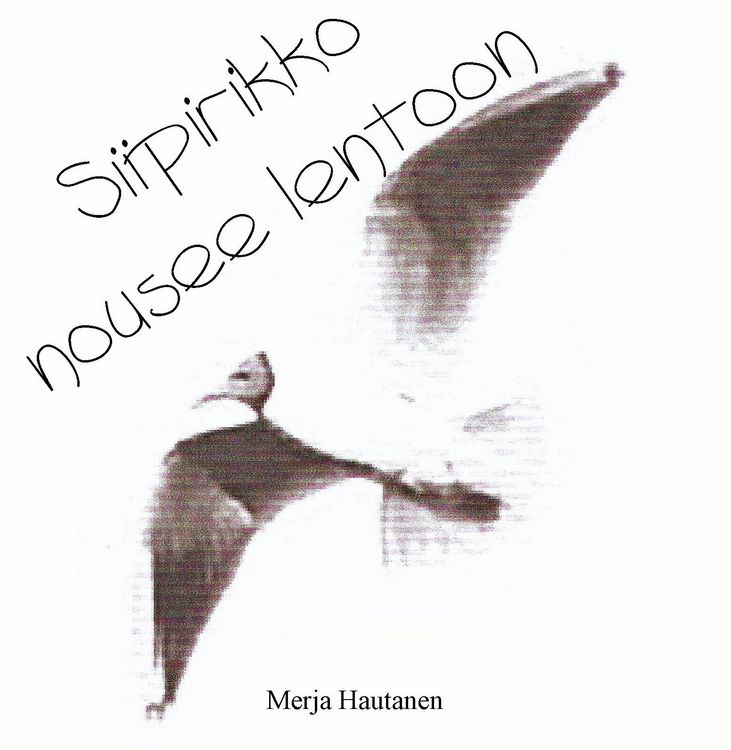 Produktbild: Siipirikko nousee lentoon