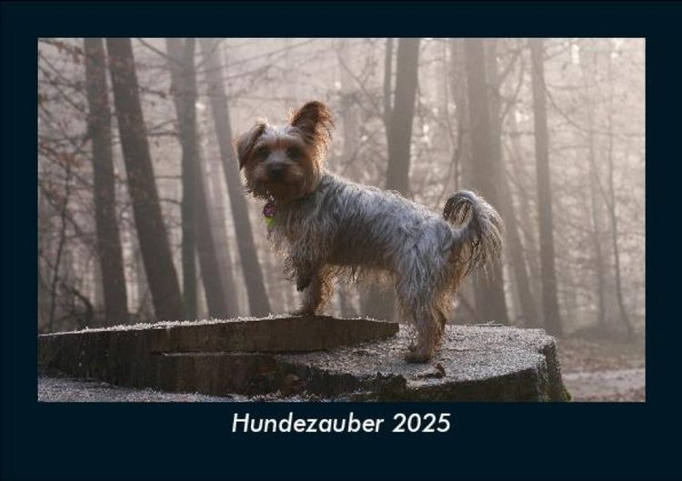 Produktbild: Hundezauber 2025 Fotokalender DIN A5