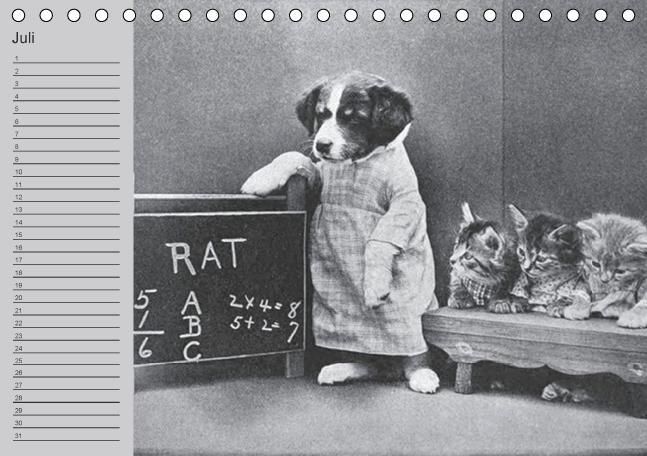 Produktbild: Katzen und Hunde - Nostalgie auf Pfoten (Tischkalender immerw&auml;hrend DIN A5 quer)