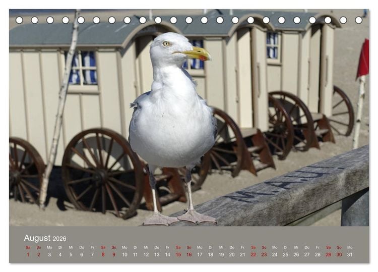 Produktbild: Norderney - Meine Trauminsel (Tischkalender 2026 DIN A5 quer), CALVENDO Monatskalender