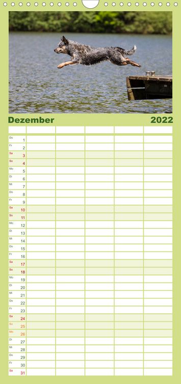Produktbild: Spaziergang am See Australian Cattle Dogs - Familienplaner hoch (Wandkalender 2022 , 21 cm x 45 cm, hoch)