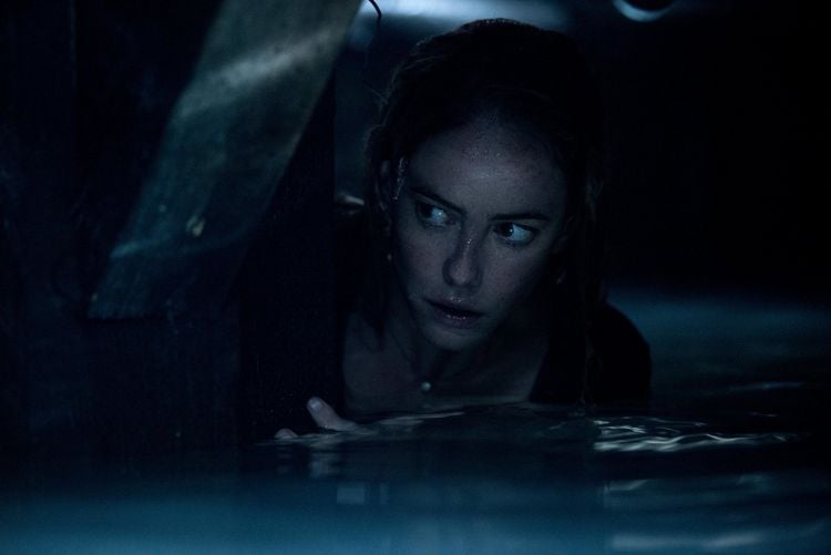 Produktbild: Crawl (4K Ultra HD) (+ Blu-ray)
