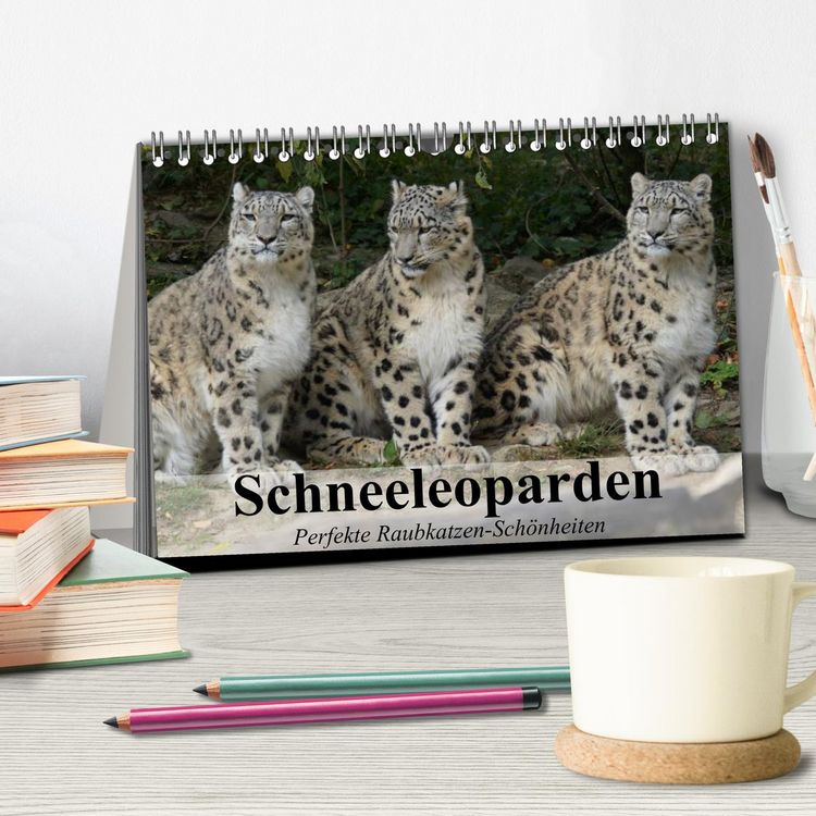 Produktbild: Schneeleoparden. Perfekte Raubkatzen-Sch&ouml;nheiten (Tischkalender 2026 DIN A5 quer), CALVENDO Monatskalender
