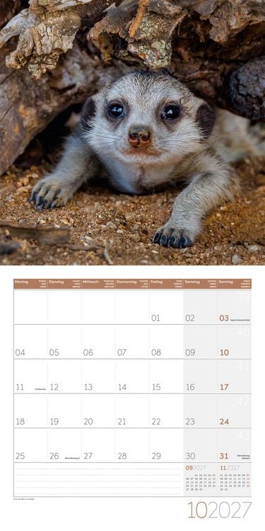 Produktbild: Erdm&auml;nnchen Kalender 2027 - 30x30 - Art12