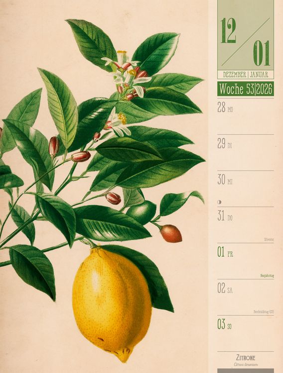 Produktbild: Culinarium Wochenplaner Kalender 2027 | K&uuml;che, Kr&auml;uter, Kurioses